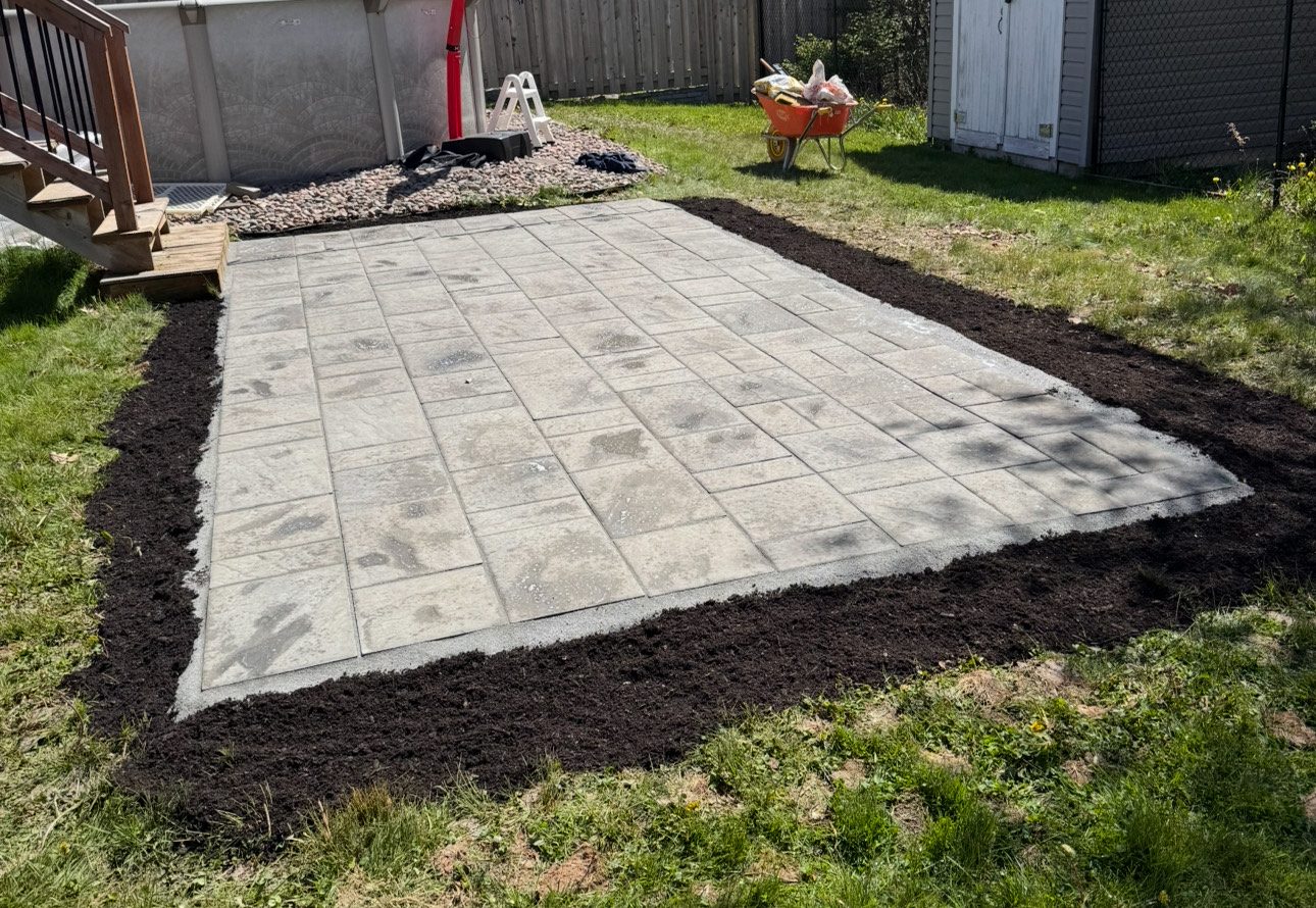 Stone steps and planted border