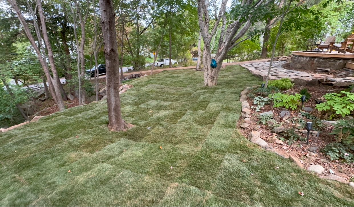 Completed stone patio and yard